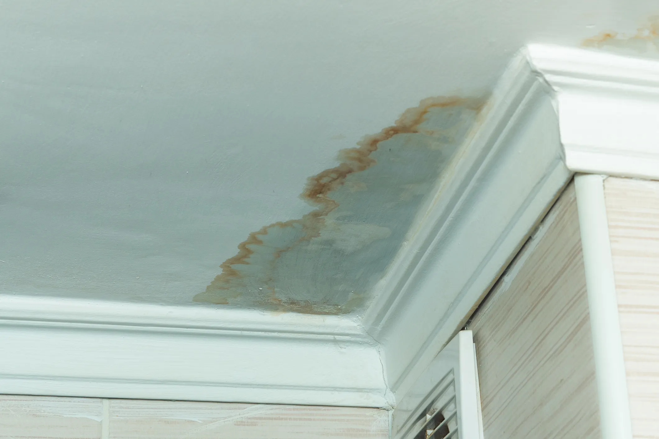Waterschade en een vochtplek op een plafond door daklekkage in Veenendaal
